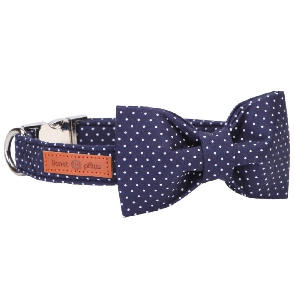 Blue dog bow tie collar
